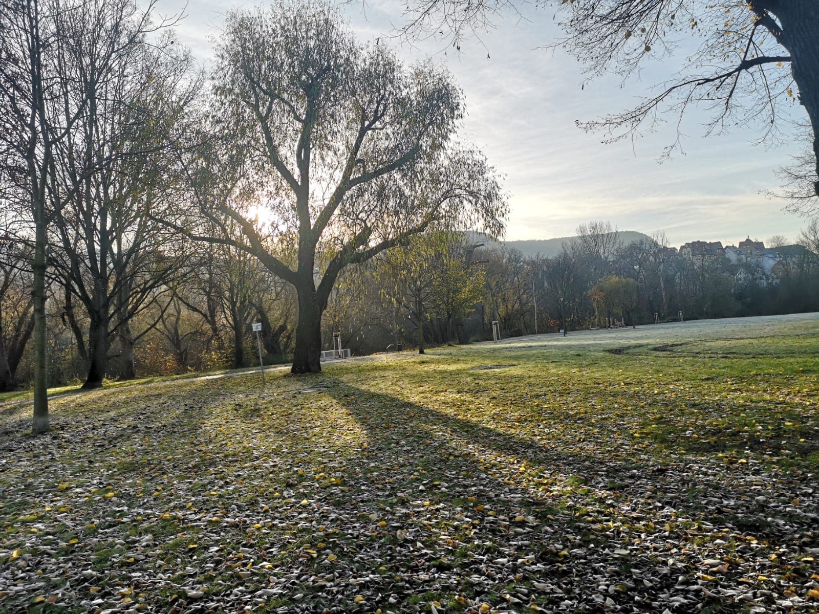 Frostige Wiese mit Baum und Blick auf die Jenaer Landschaft