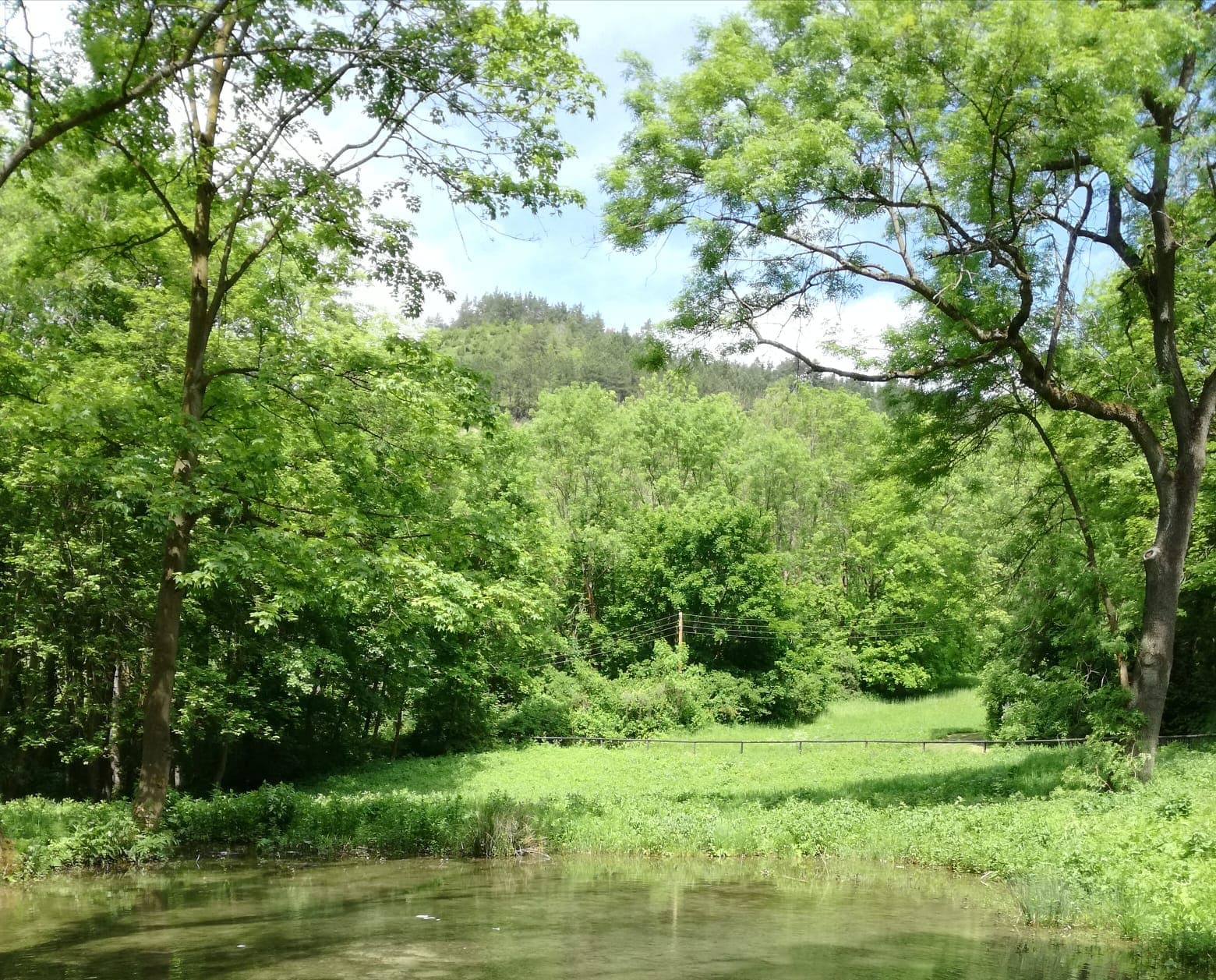 Ruhiger Teich und grüne Wiese in der Jenaer Umgebung